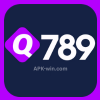 Q789 Game